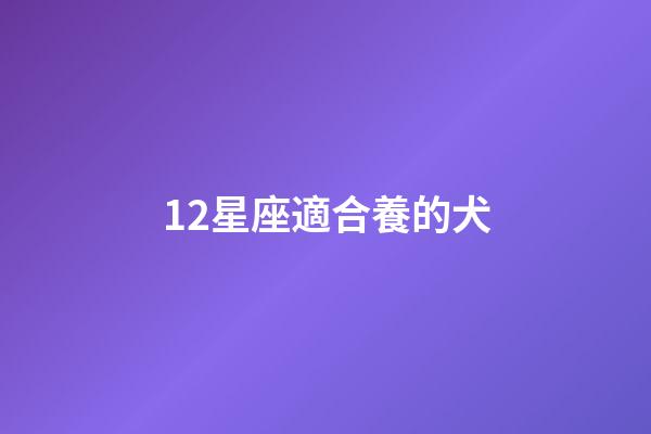 12星座適合養的犬-第1張-星座運勢-玄機派