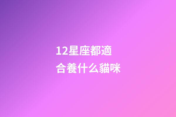 12星座都適合養什么貓咪