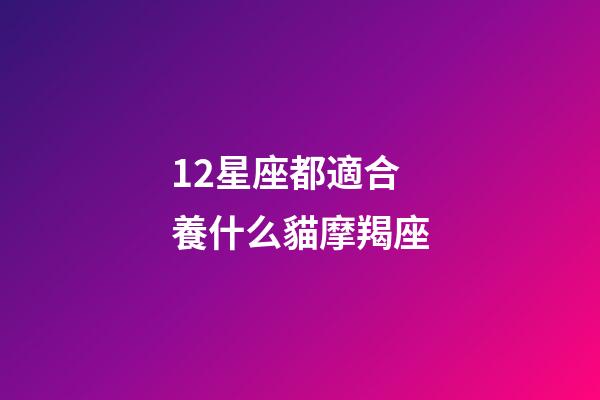 12星座都適合養什么貓摩羯座-第1張-星座運勢-玄機派