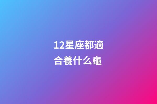 12星座都適合養什么龜-第1張-星座運勢-玄機派