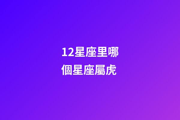 12星座里哪個星座屬虎-第1張-星座運勢-玄機派