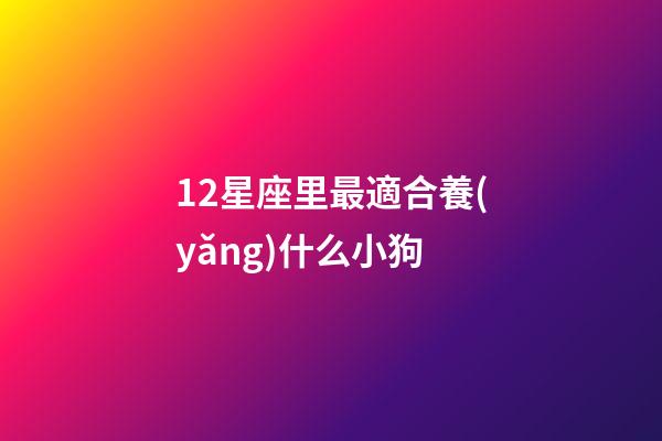 12星座里最適合養(yǎng)什么小狗-第1張-星座運(yùn)勢(shì)-玄機(jī)派
