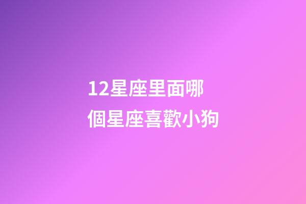 12星座里面哪個星座喜歡小狗-第1張-星座運勢-玄機派