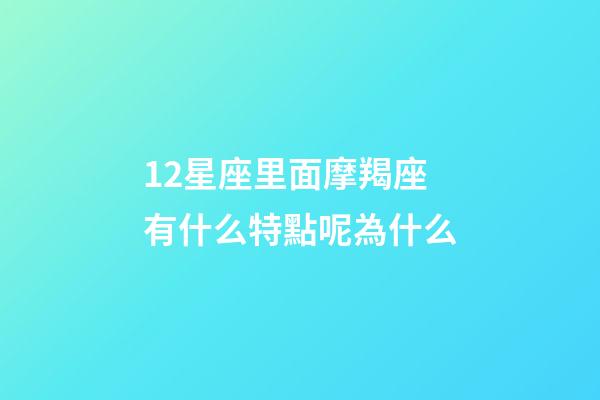 12星座里面摩羯座有什么特點呢為什么-第1張-星座運勢-玄機派