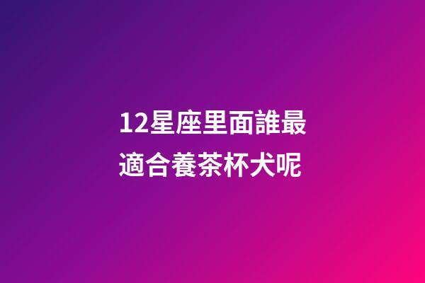 12星座里面誰最適合養茶杯犬呢