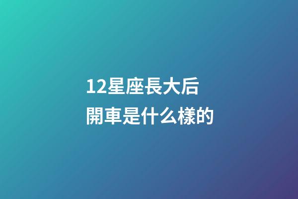 12星座長大后開車是什么樣的-第1張-星座運(yùn)勢(shì)-玄機(jī)派