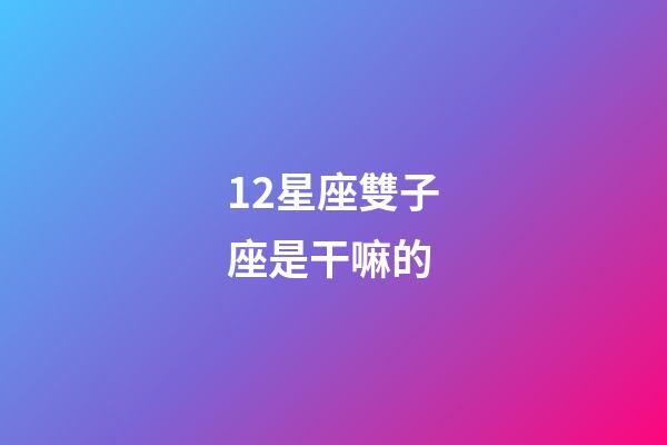 12星座雙子座是干嘛的-第1張-星座運勢-玄機派