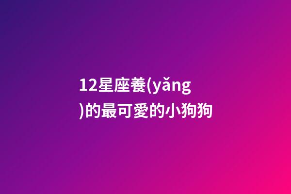 12星座養(yǎng)的最可愛的小狗狗-第1張-星座運勢-玄機派