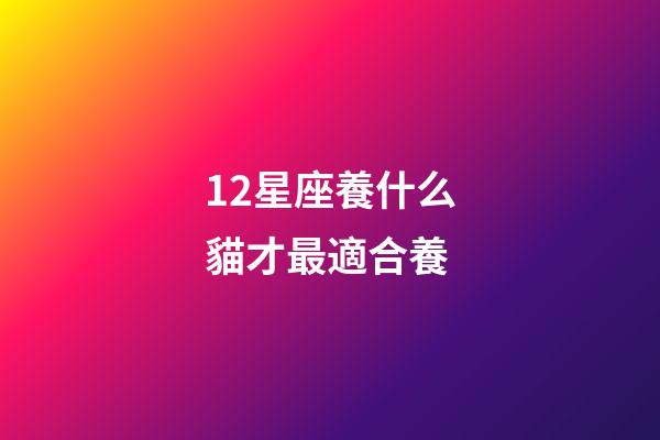 12星座養什么貓才最適合養-第1張-星座運勢-玄機派