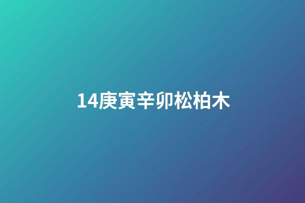 14.庚寅辛卯松柏木