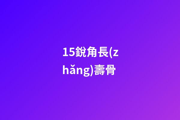 15.銳角長(zhǎng)壽骨