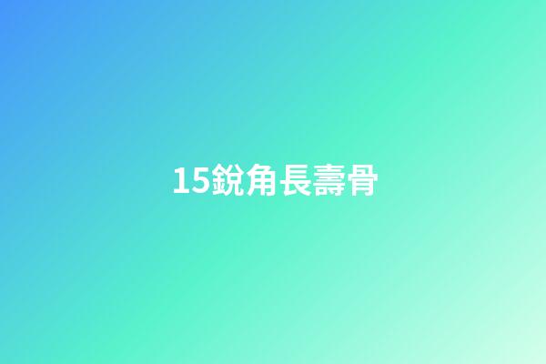 15.銳角長壽骨