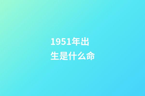 1951年出生是什么命