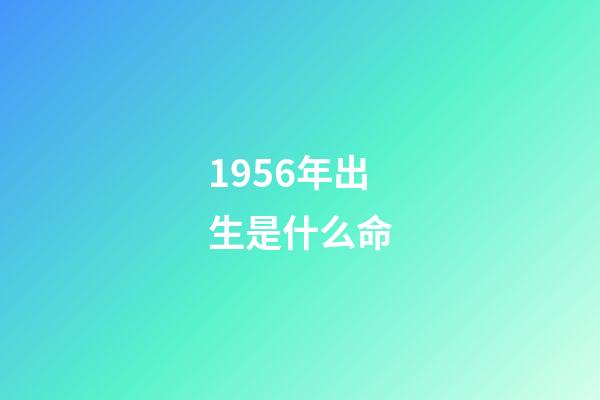 1956年出生是什么命