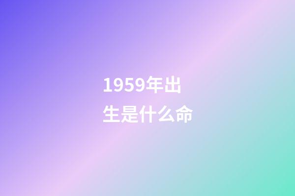 1959年出生是什么命