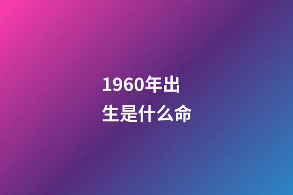 1960年出生是什么命