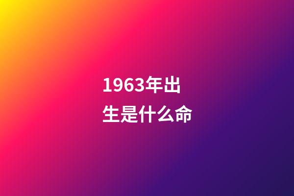 1963年出生是什么命