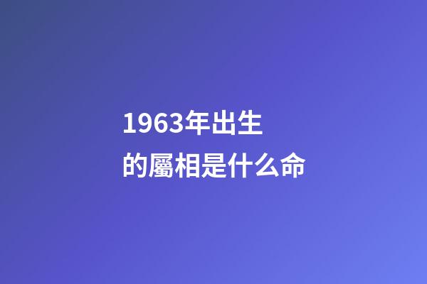 1963年出生的屬相是什么命(中國的60后，1963年出生的人，是最幸運的人群)-第1張-觀點-玄機派