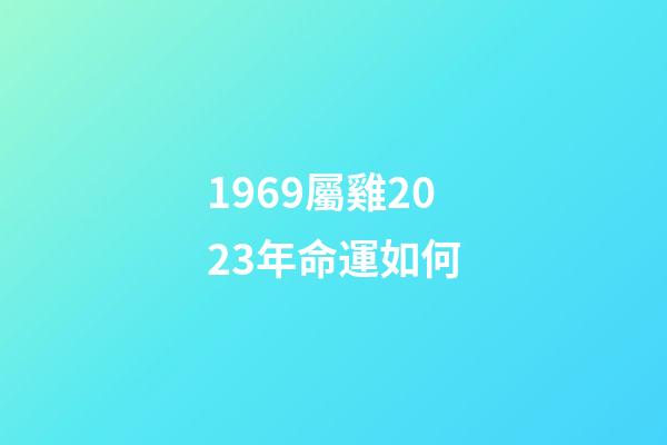 1969屬雞2023年命運如何(1969年出生的男性要延遲退休嗎？)-第1張-觀點-玄機派