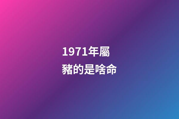 1971年屬豬的是啥命(1961~1971年出生且當年交過計劃生育罰款的農民，現如今要享福了)-第1張-觀點-玄機派