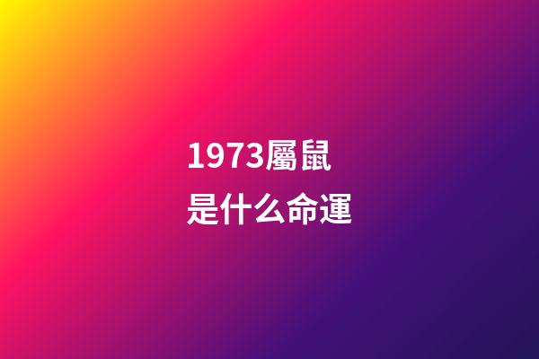 1973屬鼠是什么命運(聽風觀雨系列之二發小篇——命運多舛的紅哥2、一路走好)-第1張-觀點-玄機派