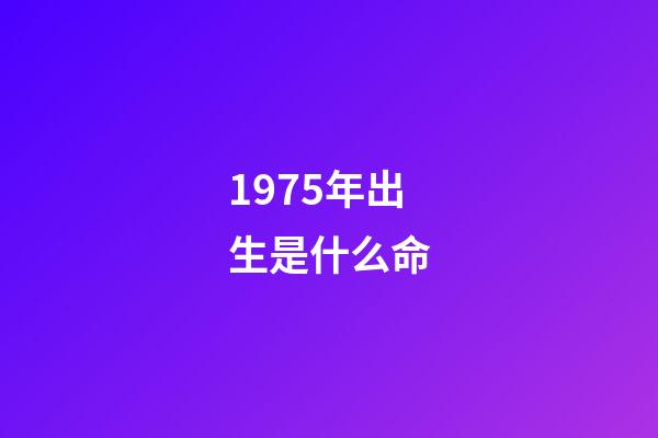 1975年出生是什么命
