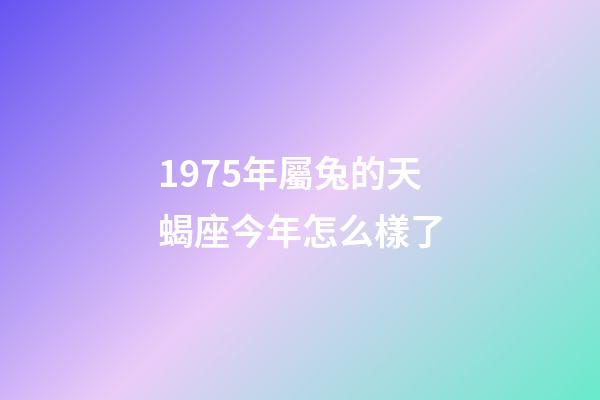 1975年屬兔的天蝎座今年怎么樣了-第1張-星座運勢-玄機派