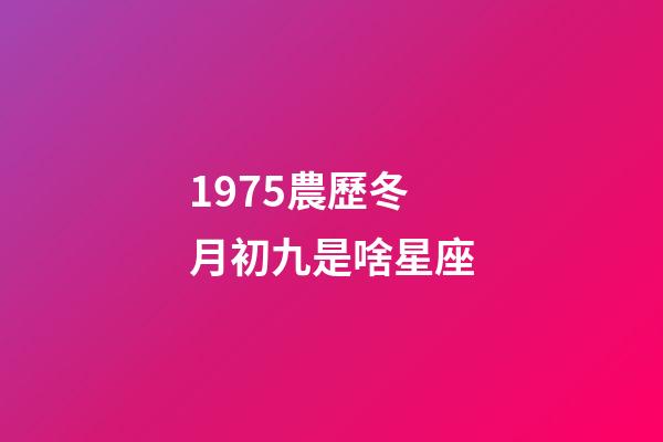 1975農歷冬月初九是啥星座-第1張-星座運勢-玄機派