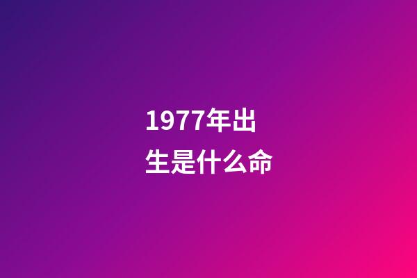 1977年出生是什么命