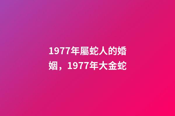 1977年屬蛇人的婚姻，1977年大金蛇-第1張-觀點-玄機派