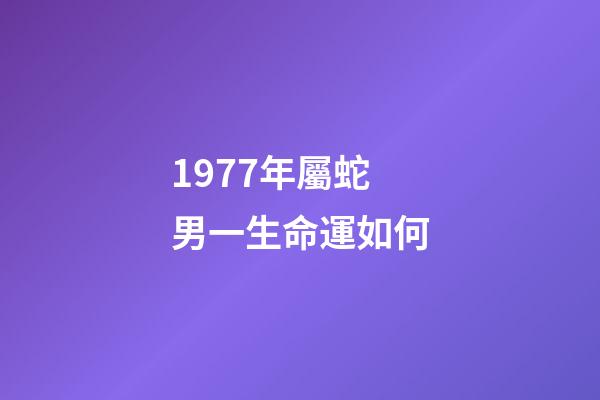 1977年屬蛇男一生命運如何(53、65、77年肖蛇人在17年運程)-第1張-觀點-玄機派