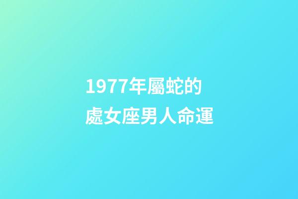 1977年屬蛇的處女座男人命運-第1張-星座運勢-玄機派