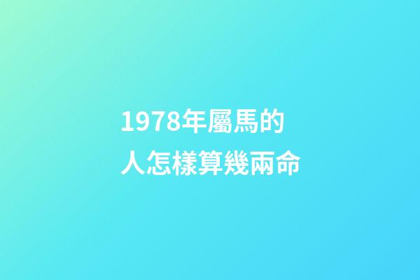 1978年屬馬的人怎樣算幾兩命(內蒙42年工齡個人賬戶11.5萬，繳費指數100%，退休后養老金有多少)-第1張-觀點-玄機派