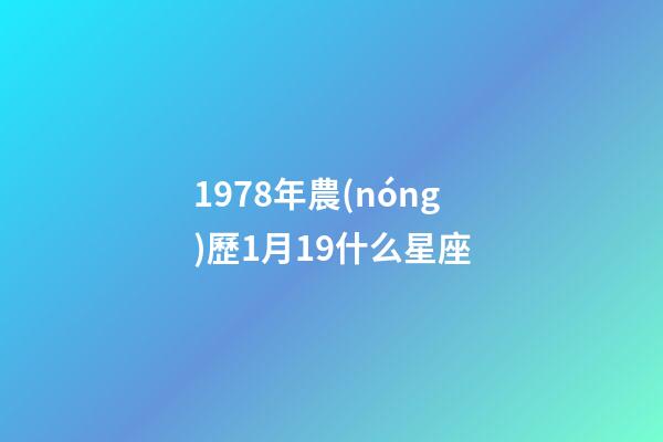 1978年農(nóng)歷1月19什么星座-第1張-星座運勢-玄機派