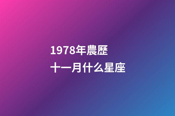 1978年農歷十一月什么星座-第1張-星座運勢-玄機派
