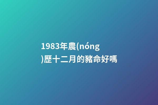 1983年農(nóng)歷十二月的豬命好嗎(5年磨一劍，中國女籃成為世界亞軍有太多故事可講)-第1張-觀點(diǎn)-玄機(jī)派