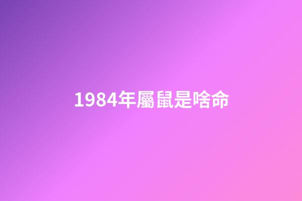 1984年屬鼠是啥命(從出生年份看財(cái)運(yùn)，誰(shuí)一輩子不會(huì)缺錢，生活最滋潤(rùn))-第1張-觀點(diǎn)-玄機(jī)派