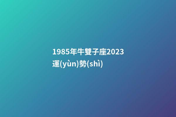 1985年牛雙子座2023運(yùn)勢(shì)-第1張-星座運(yùn)勢(shì)-玄機(jī)派