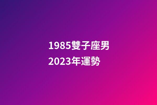 1985雙子座男2023年運勢-第1張-星座運勢-玄機派