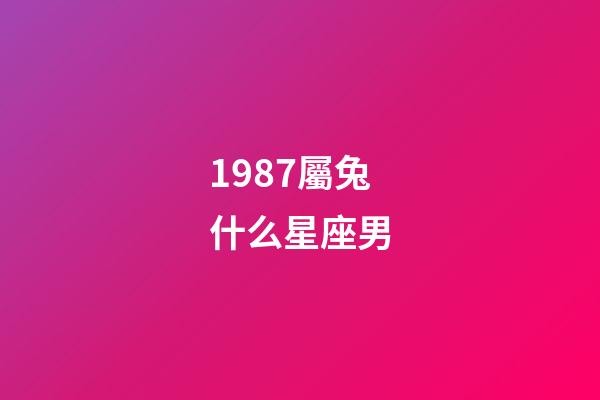 1987屬兔什么星座男-第1張-星座運勢-玄機派