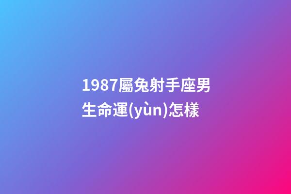 1987屬兔射手座男生命運(yùn)怎樣-第1張-星座運(yùn)勢-玄機(jī)派