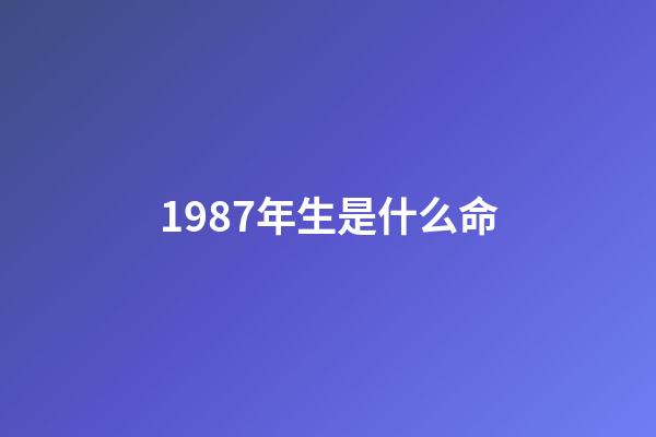 1987年生是什么命