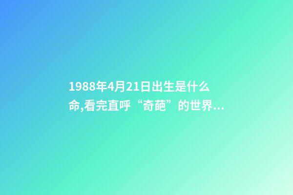 1988年4月21日出生是什么命,看完直呼“奇葩”的世界記錄-第1張-觀點-玄機派