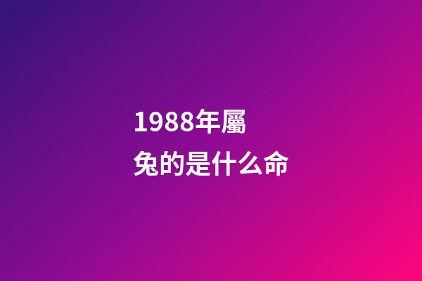 1988年屬兔的是什么命(「單身男女」1988年男公務員：有車、房，家庭無負擔)-第1張-觀點-玄機派