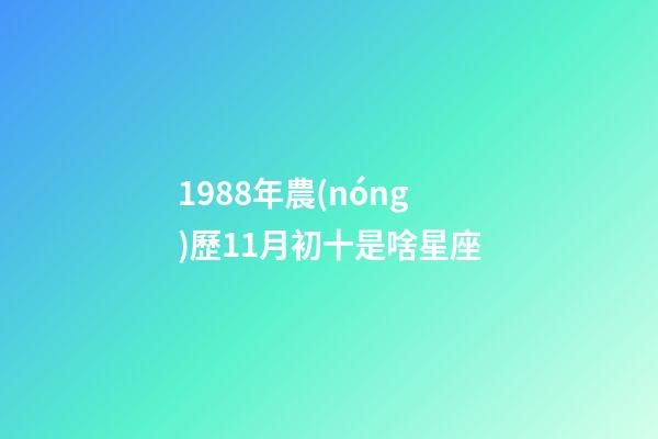 1988年農(nóng)歷11月初十是啥星座-第1張-星座運(yùn)勢-玄機(jī)派