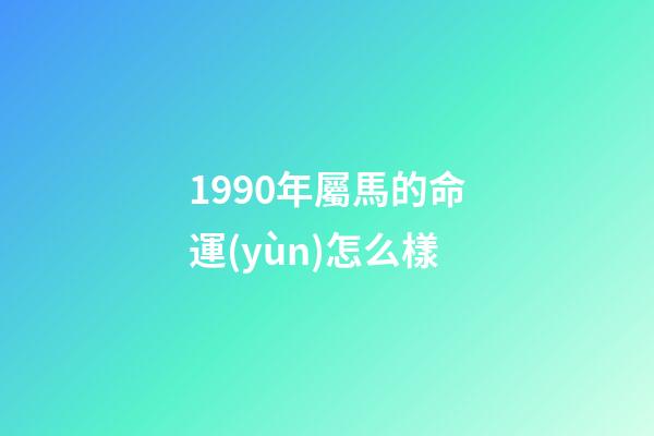1990年屬馬的命運(yùn)怎么樣(寫(xiě)給90年出生的你們!回憶一路成長(zhǎng)中所經(jīng)歷的大事情)-第1張-觀點(diǎn)-玄機(jī)派