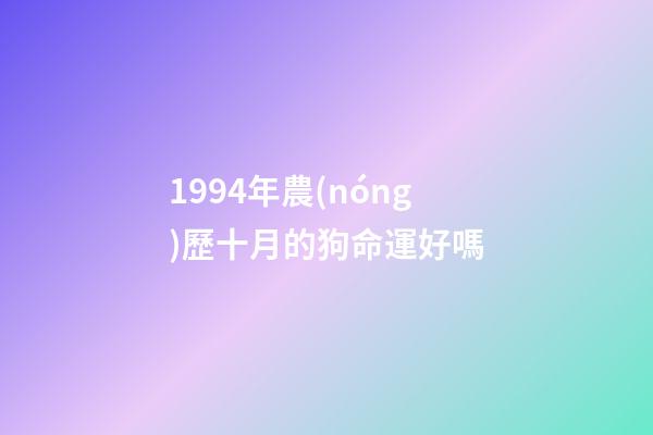 1994年農(nóng)歷十月的狗命運好嗎(12生肖女哪年哪月出生最容易嫁給好男人)-第1張-觀點-玄機派