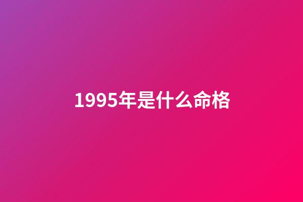 1995年是什么命格(有這種手相特征的人，注定是離婚再婚的命格)-第1張-觀點-玄機派