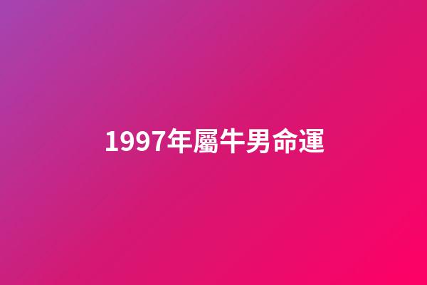 1997年屬牛男命運(男孩離世捐出遺體，母親自學(xué)3D建模打印替兒接單：這是他最喜歡做的事)-第1張-觀點-玄機派