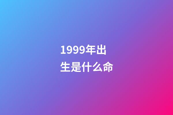 1999年出生是什么命
